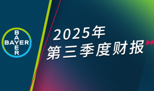 2025年第三季度财報